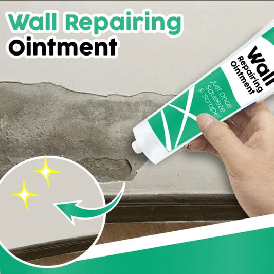 Wall Repairing Ointment(100g)