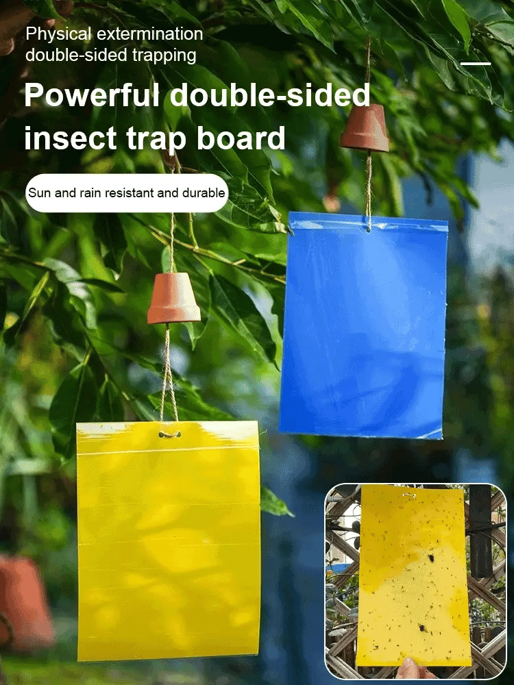 Double-sided Insect Trap and Insecticide Board