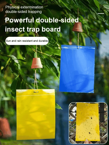Double-sided Insect Trap and Insecticide Board