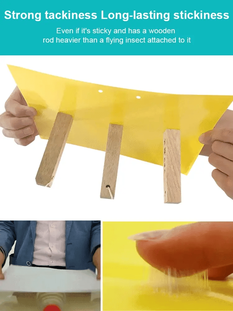 Double-sided Insect Trap and Insecticide Board